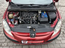 Peugeot 307 full