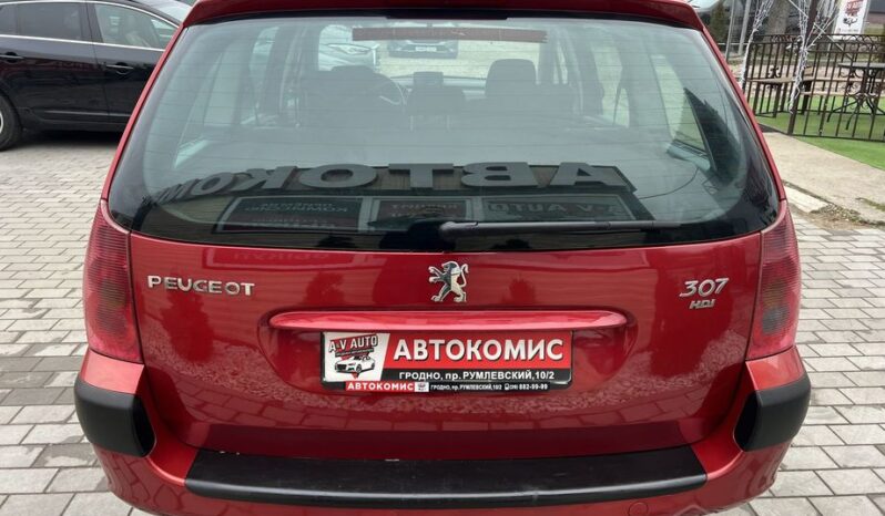 Peugeot 307 full