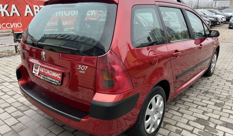 Peugeot 307 full