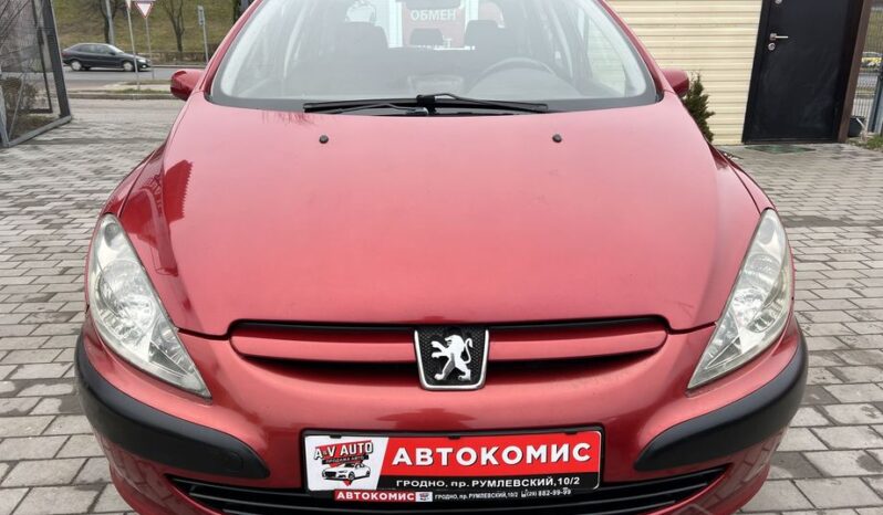 Peugeot 307 full