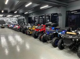 Квадроциклы от 50 до 1000 кубов