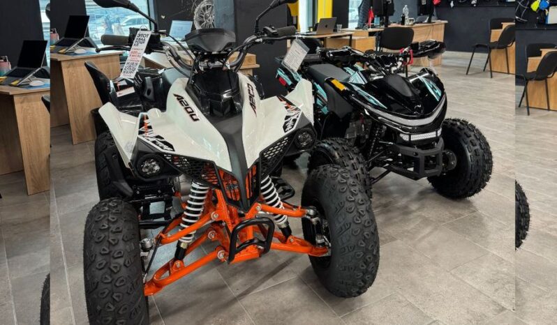 Квадроциклы от 50 до 1000 кубов full