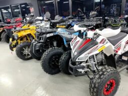 Квадроциклы от 50 до 1000 кубов full