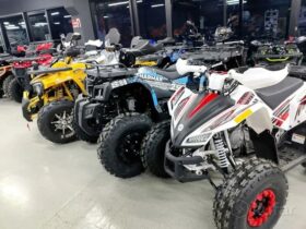 Квадроциклы от 50 до 1000 кубов