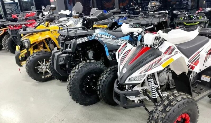 Квадроциклы от 50 до 1000 кубов full