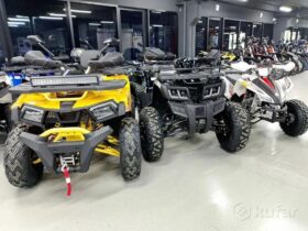 Квадроциклы от 50 до 1000 кубов