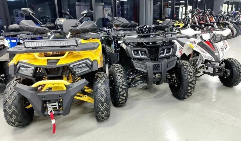 Квадроциклы от 50 до 1000 кубов full