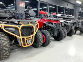 Квадроциклы от 50 до 1000 кубов